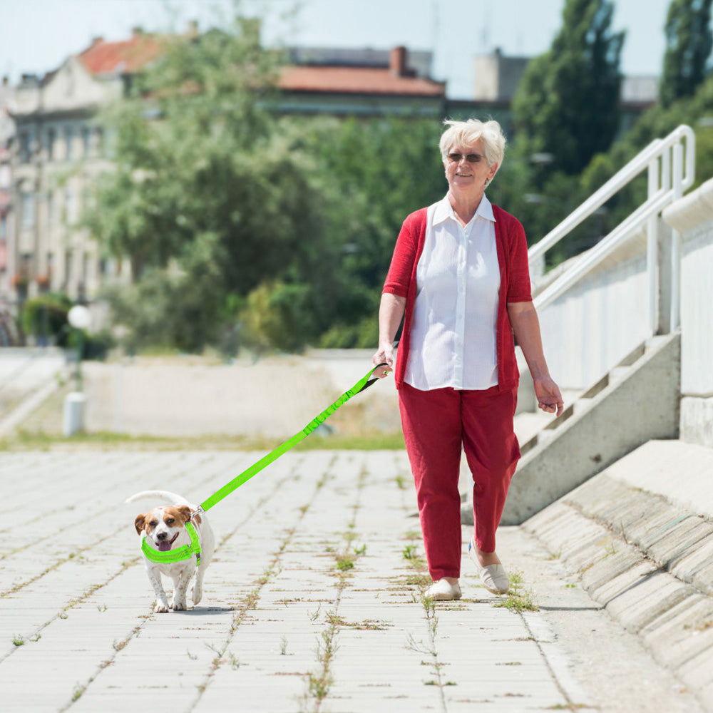 Small Dog Harness and Leash - Green