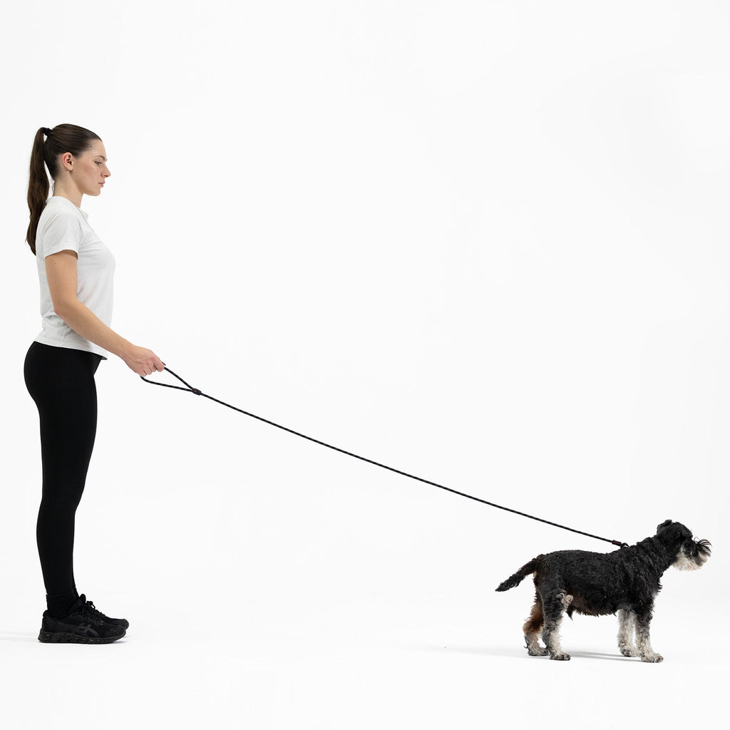 Luca™ Leash