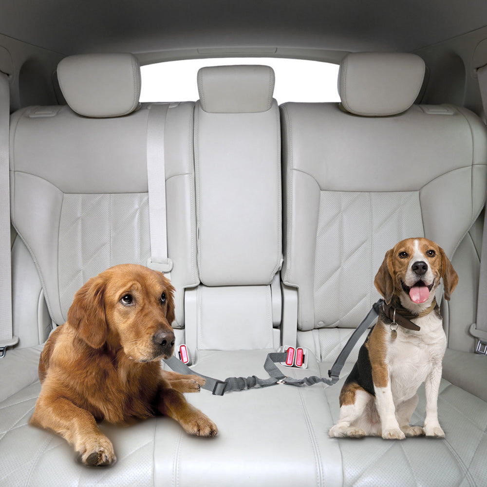 Double Dog Car Seatbelt - Grey