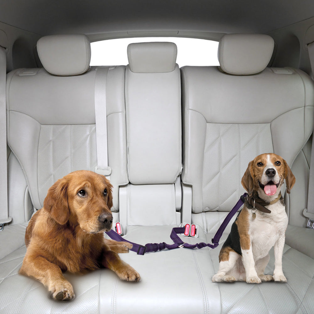 Double Dog Car Seatbelt - Purple