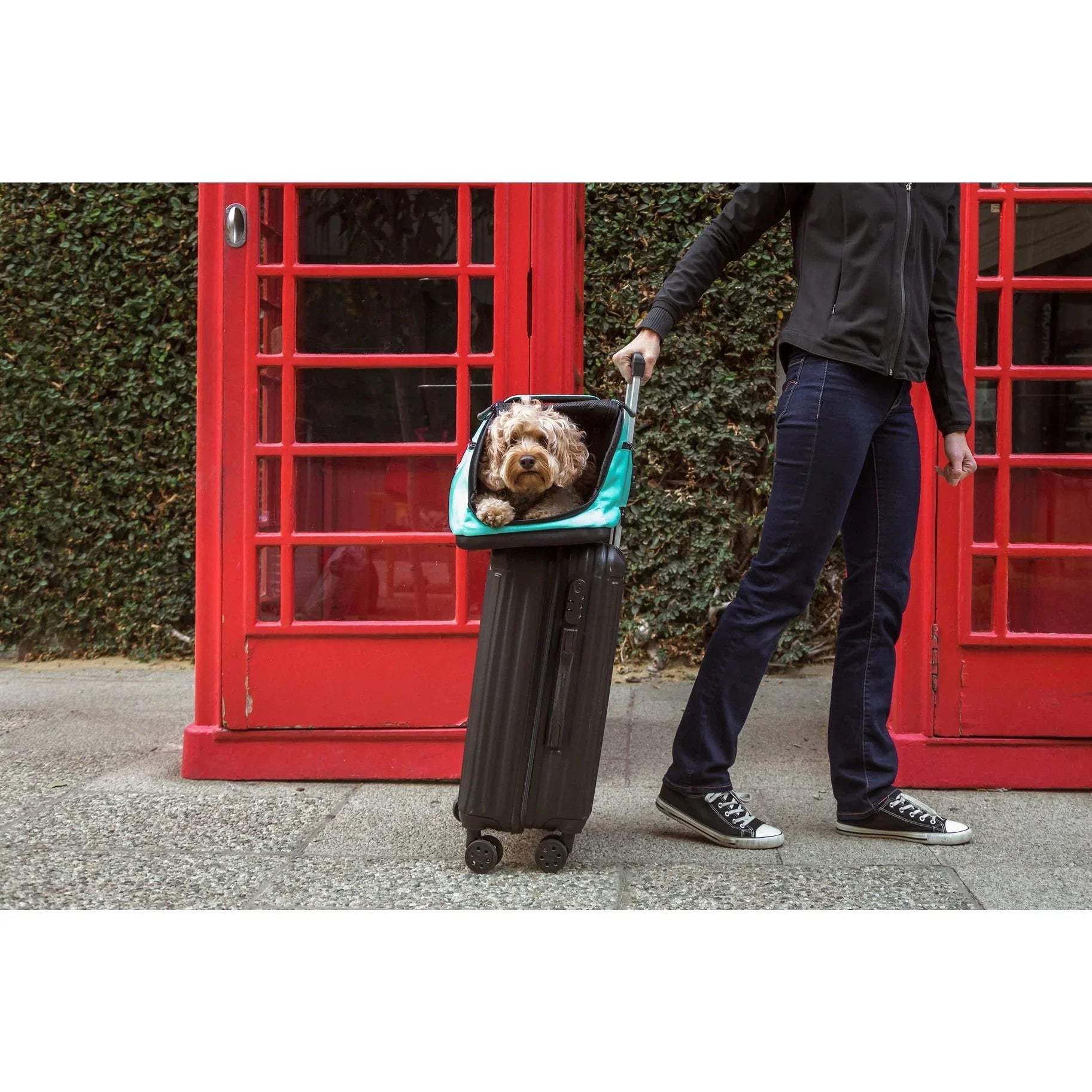 Sleepypod Air 2.0 Pet Carrier, Premium Airline Compliant Large Size Carrier - Newly Updated Model
