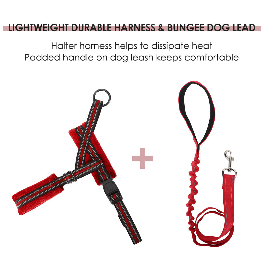 Small Dog Harness and Leash - Red