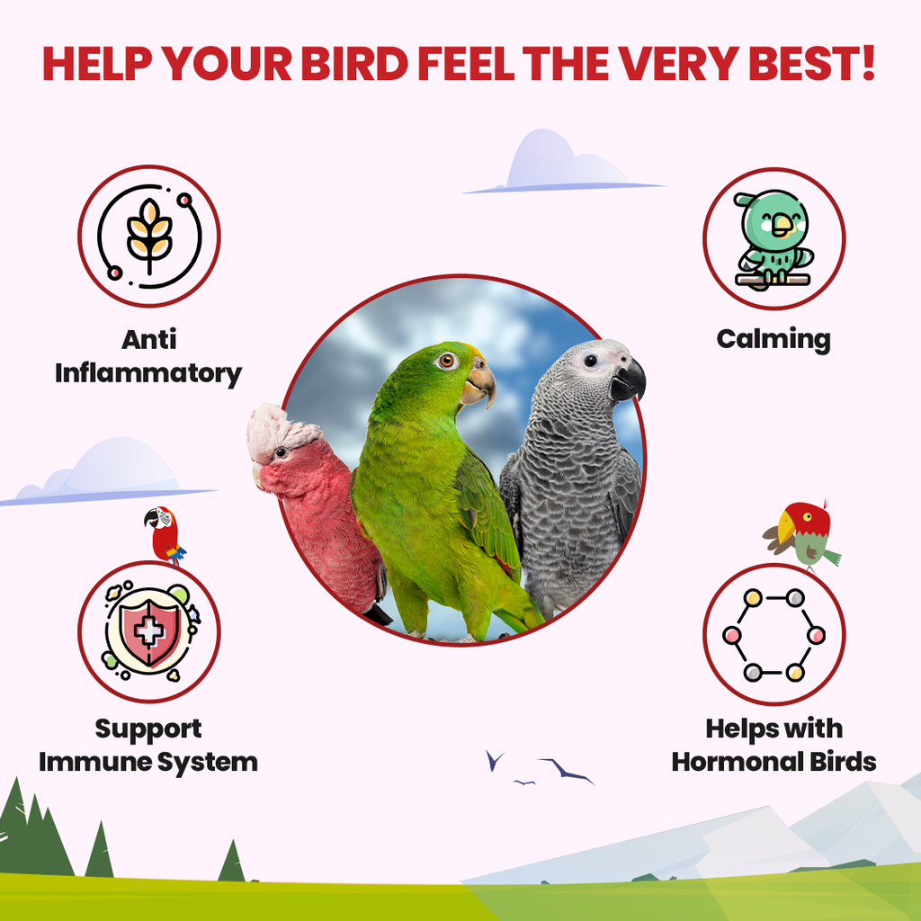 Halcyon Parrot Tea