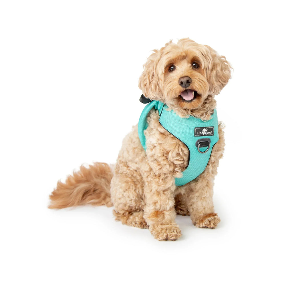 Sleepypod Clickit Range Harness - Next Generation Car Safety