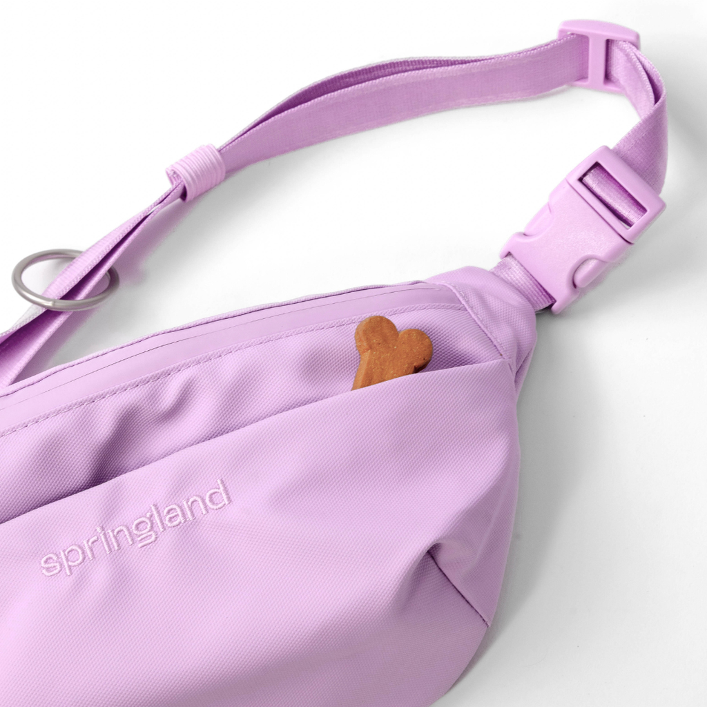 Hands-Free Dog Walking Bag with 3.25ft Leash