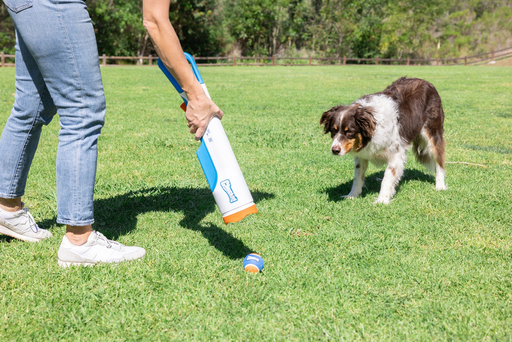 Chuckit! Cannon & Cannon Max - Dog Ball Launcher