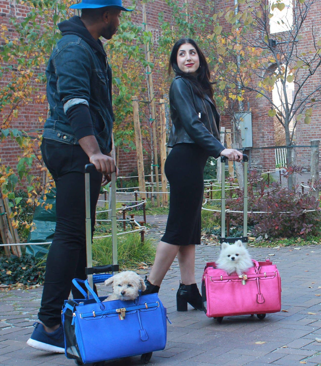 A Pet with Paws® Madison Carrier With Pet Trek Wheelbase