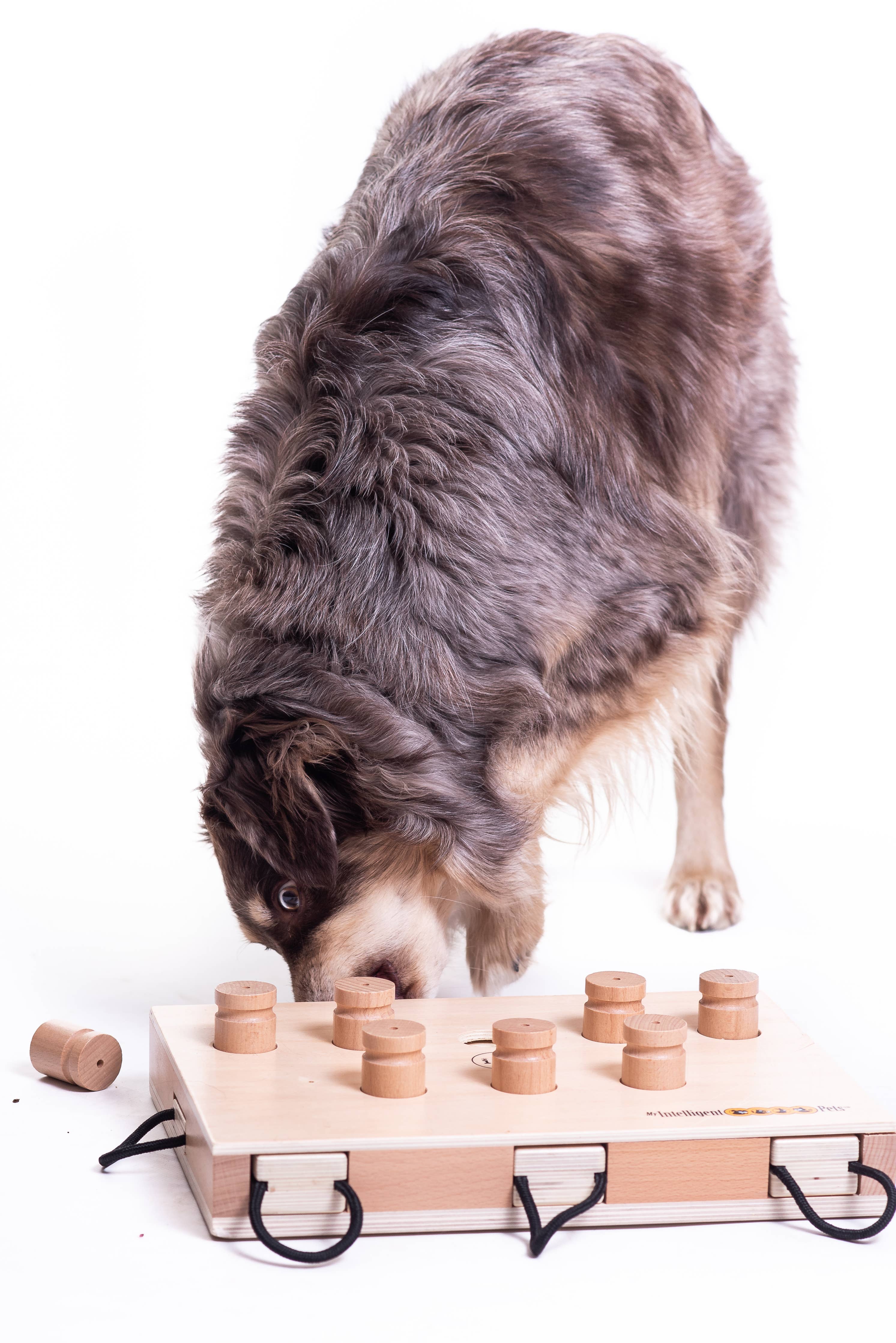 IPet Smart Dog - Challenging Interactive Game for Dogs by My Intelligent Dogs