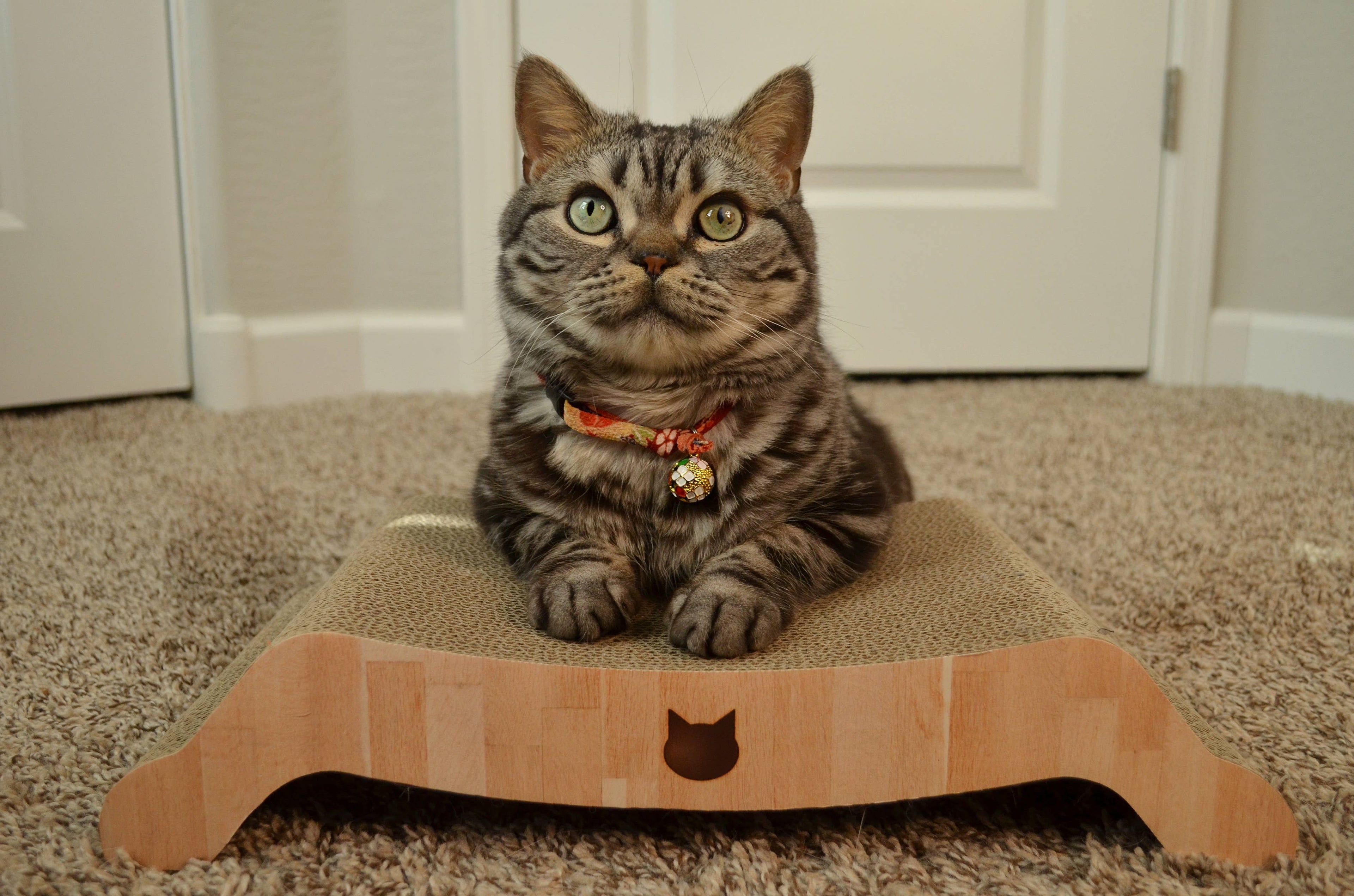 Necoichi Premium Comfort Reversible Cat Bed (Oak)