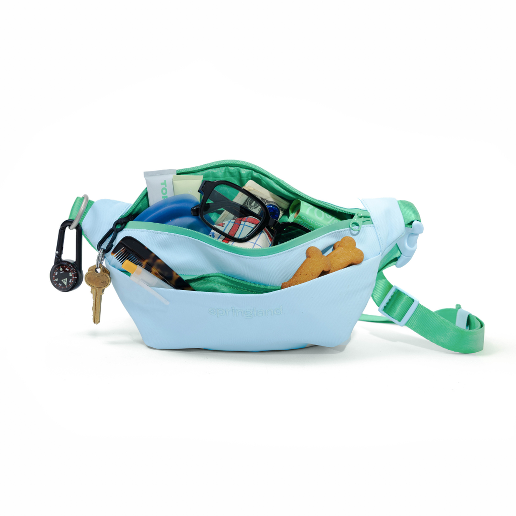 Hands-Free Dog Walking Bag with 3.25ft Leash