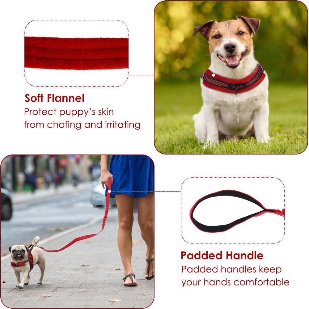 No Pull Small Dog Harness and Leash - Red