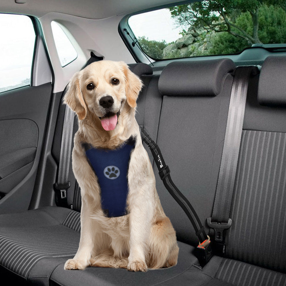 Dog Car Harness & Seat Belt - Canvas Blue