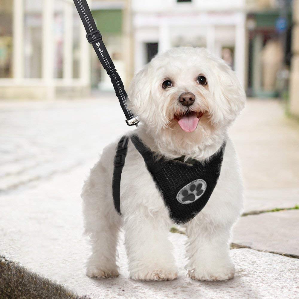 Dog Car Harness &  Seat Belt - Black