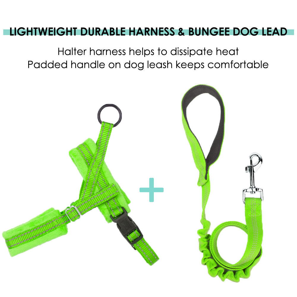 Small Dog Harness and Leash - Green