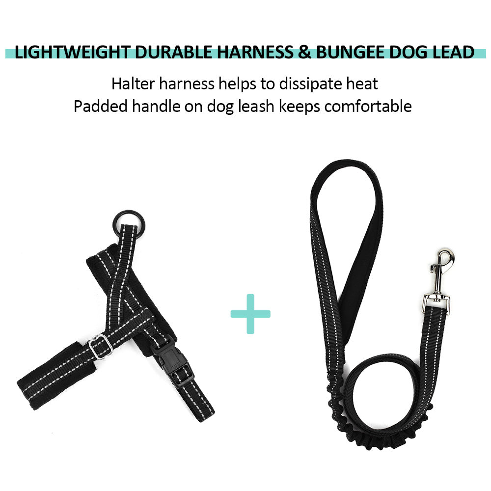 Small Dog Harness and Leash - Black