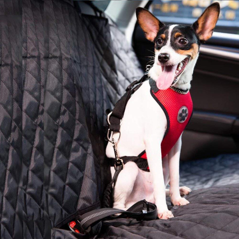 Dog Car Harness & Seat Belt - Red