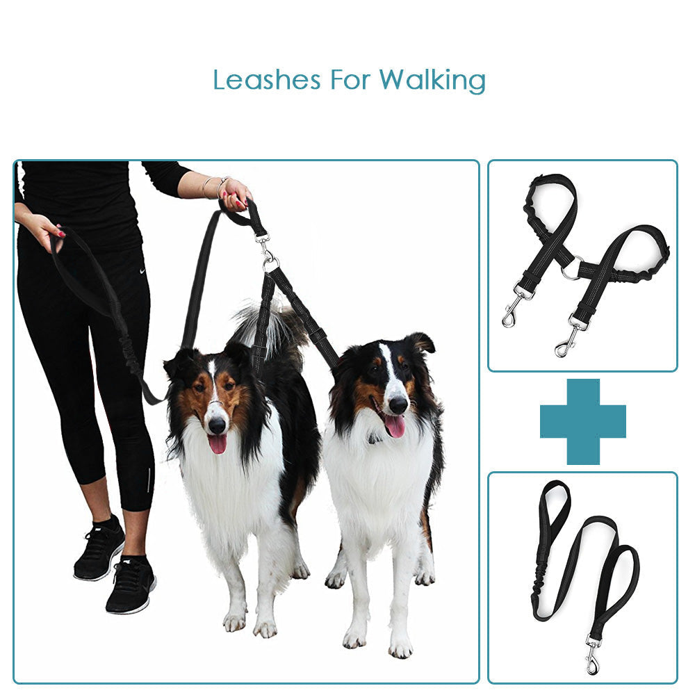 2 in 1 Double Dog Leash + Car Seat Belt - Black