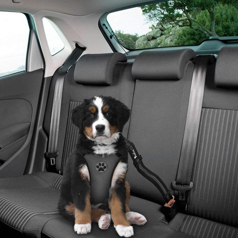 Dog Car Harness & Seat Belt - Grey