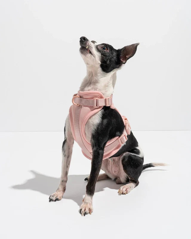 Wild One Adjustable Comfort Dog Harness