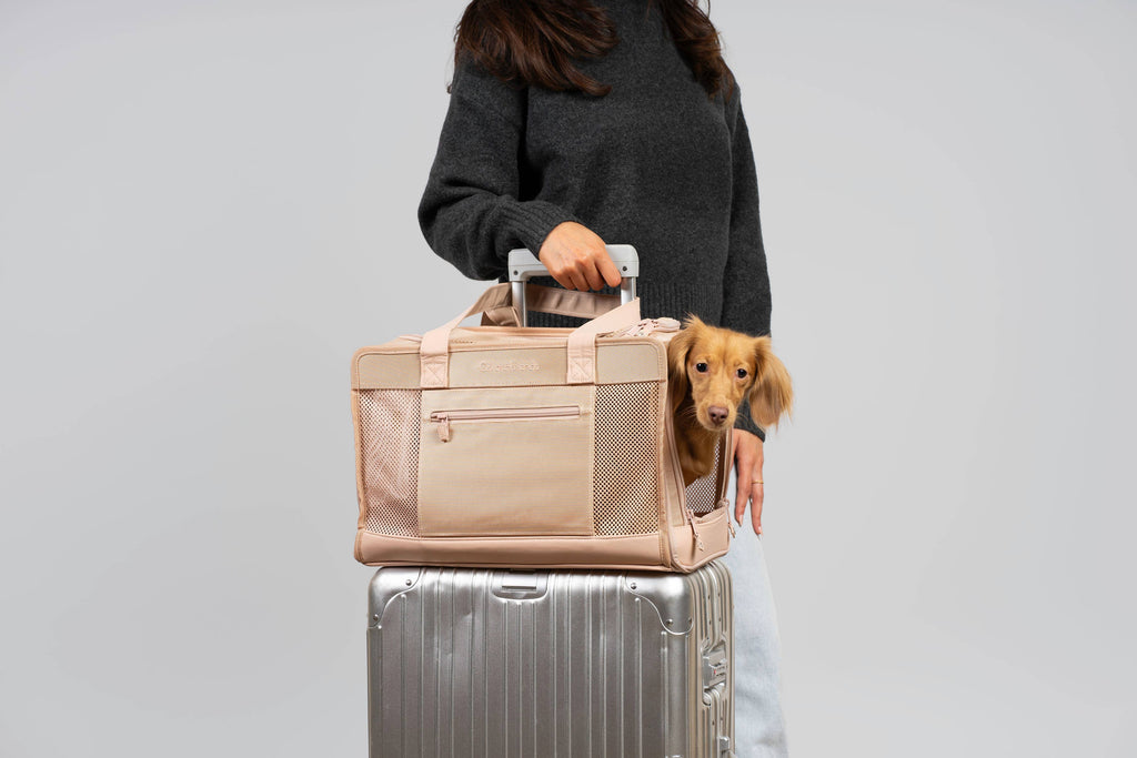 Oskar & Friends Pet Travel Carrier - Airline Compliant, Lightweight