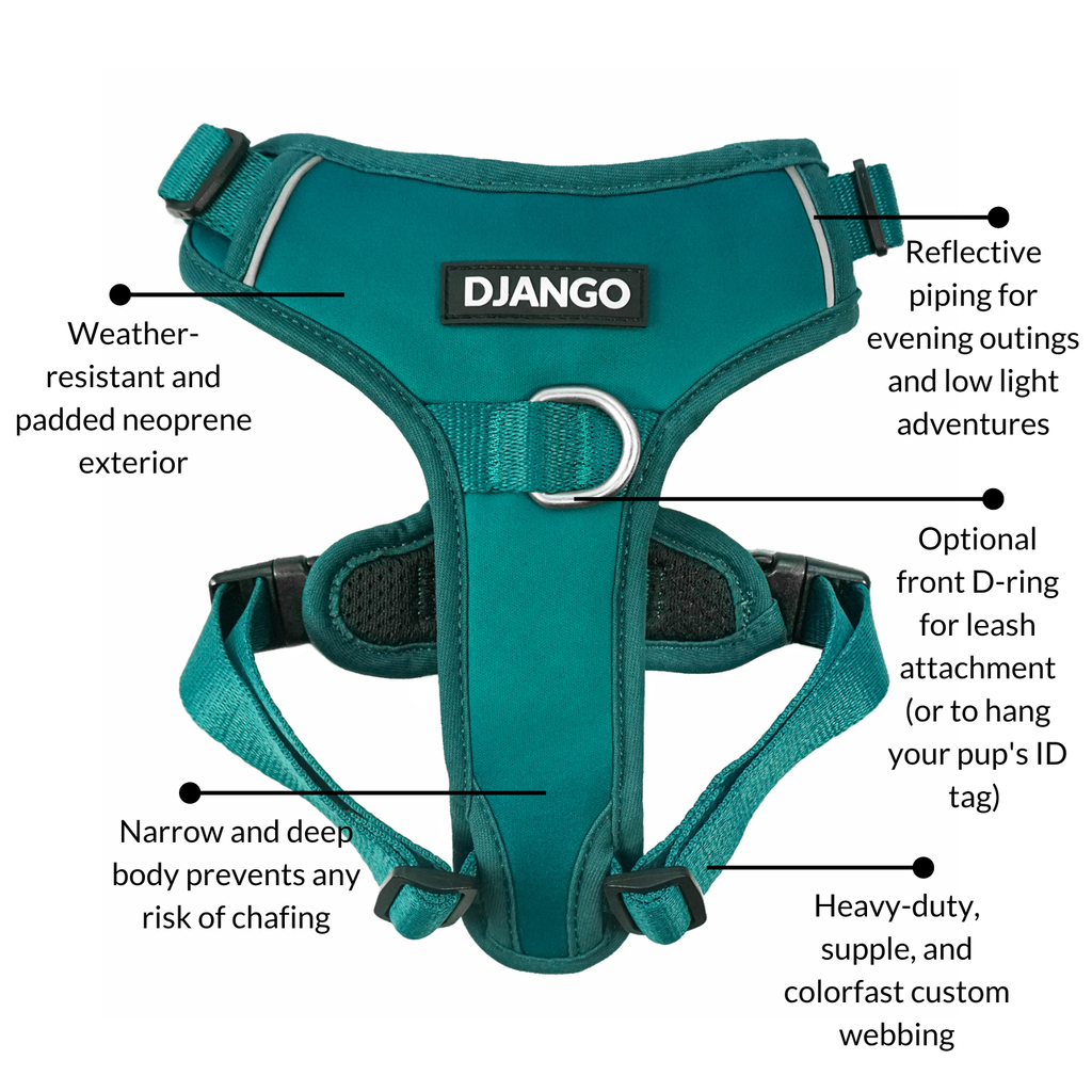 DJANGO Tahoe No Pull Dog Harness