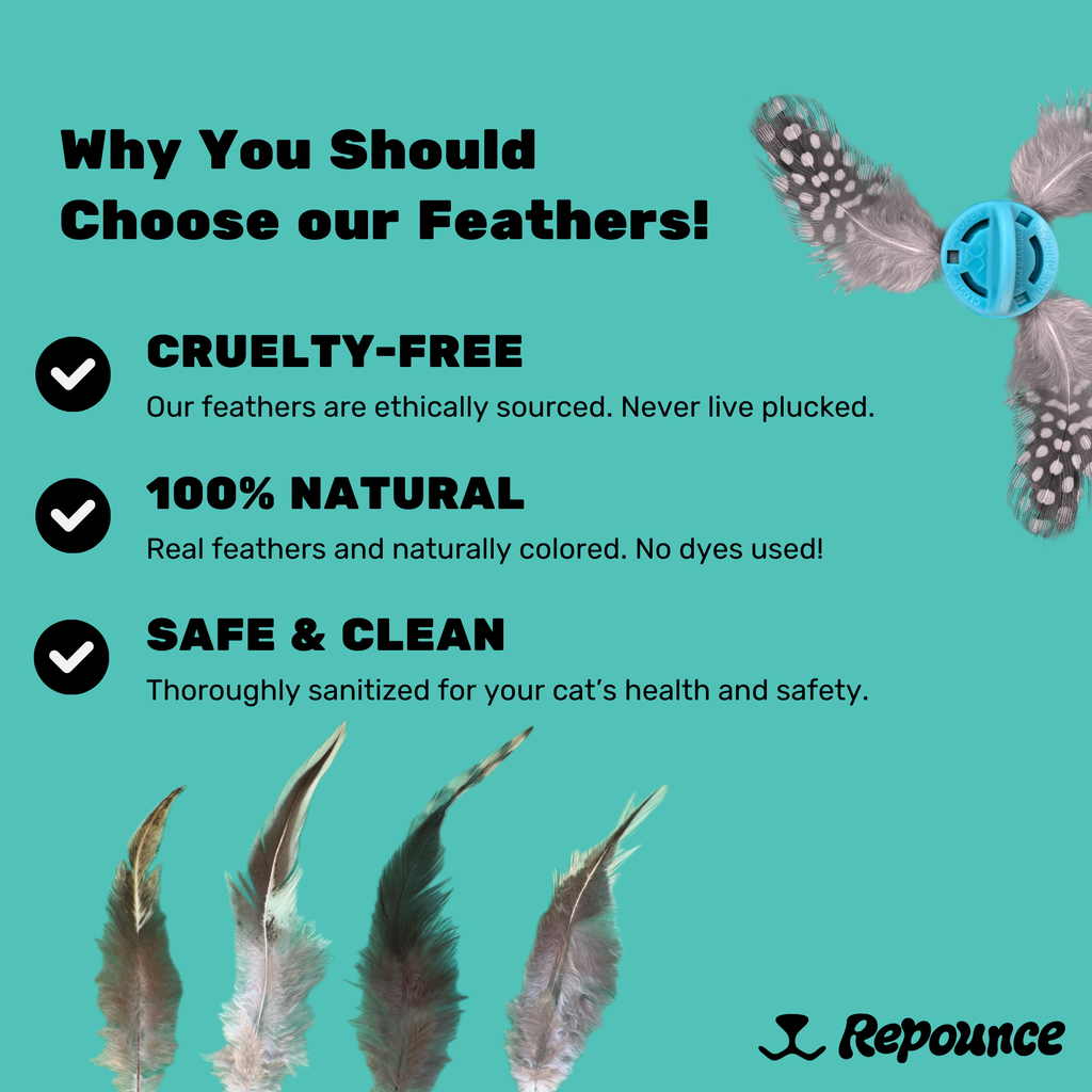 Repounce Forever Prey™ - World's First Refillable Feather Toy