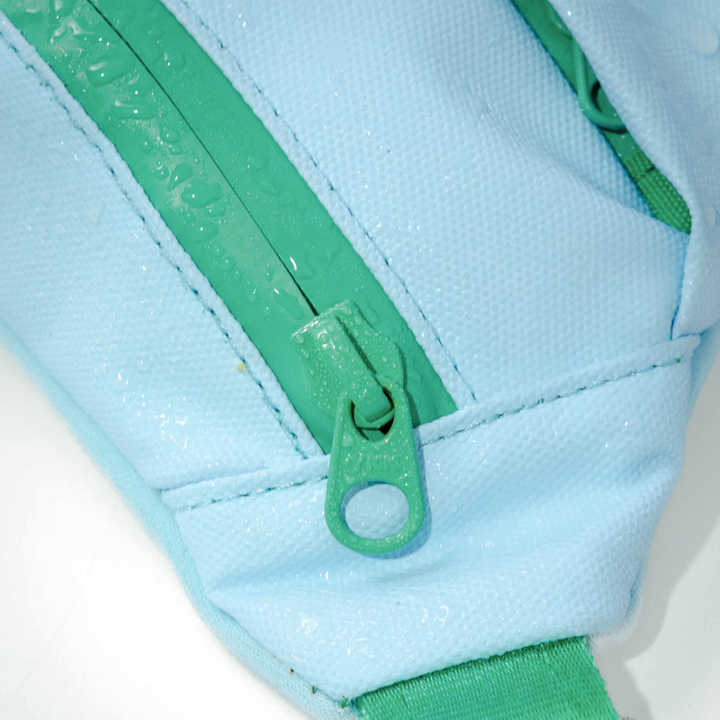 Hands-Free Dog Walking Bag with 3.25ft Leash
