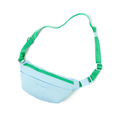 Hands-Free Dog Walking Bag