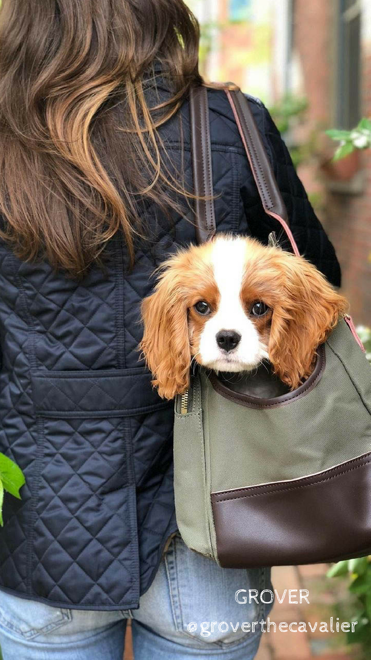 DjangoTote™ Waxed Canvas Dog Carrier Bag and Pet Travel Tote