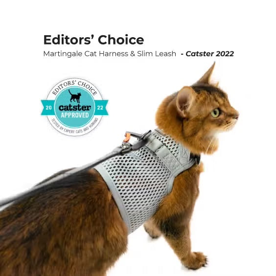 Sleepypod Slim Leash