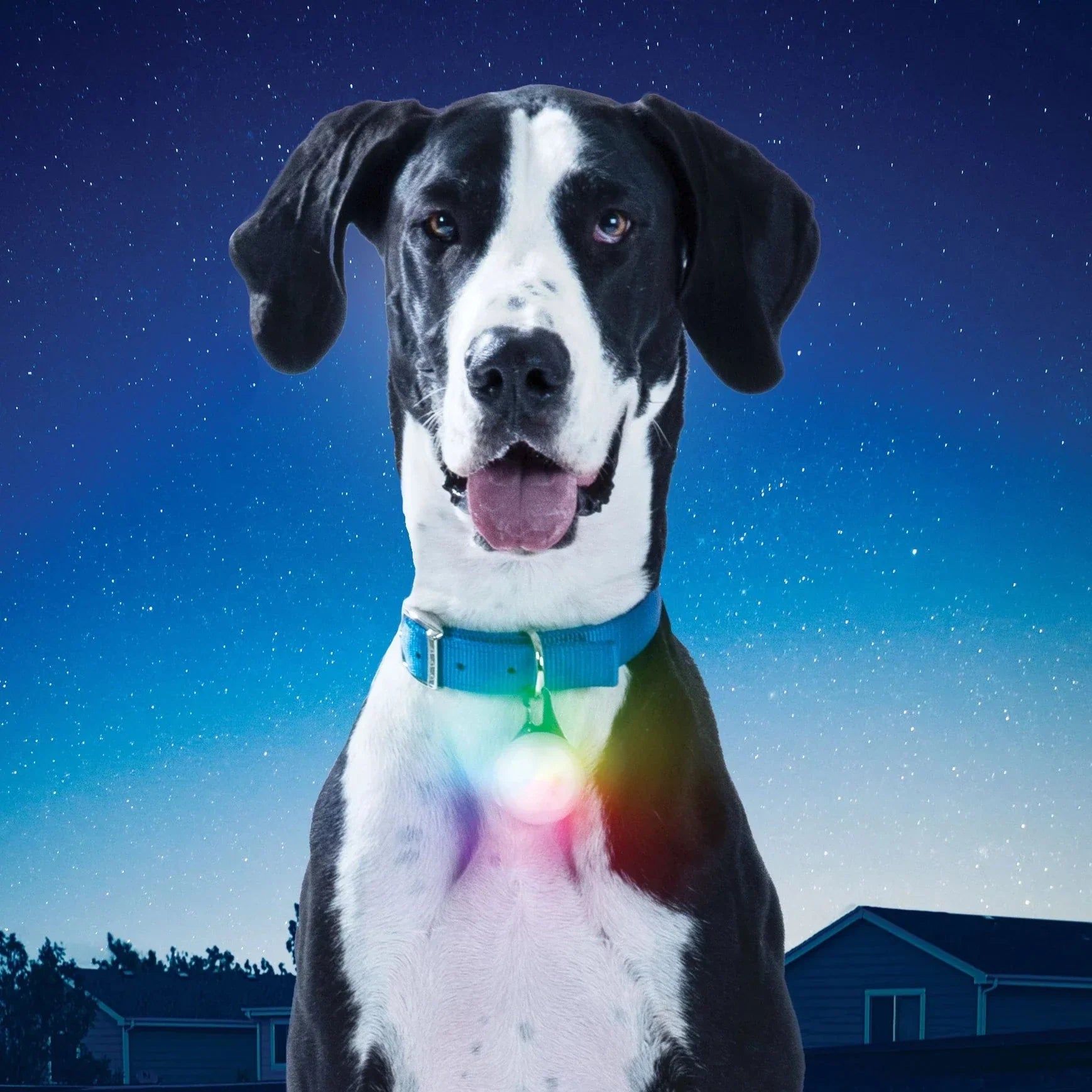 Nite Ize PetLit/SpotLit Collar Light