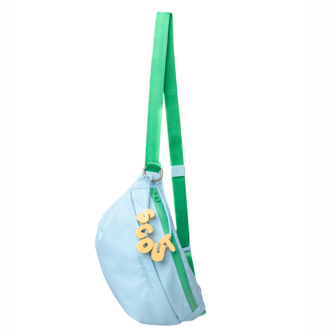Hands-Free Dog Walking Bag