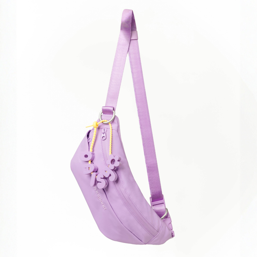 Hands-Free Dog Walking Bag