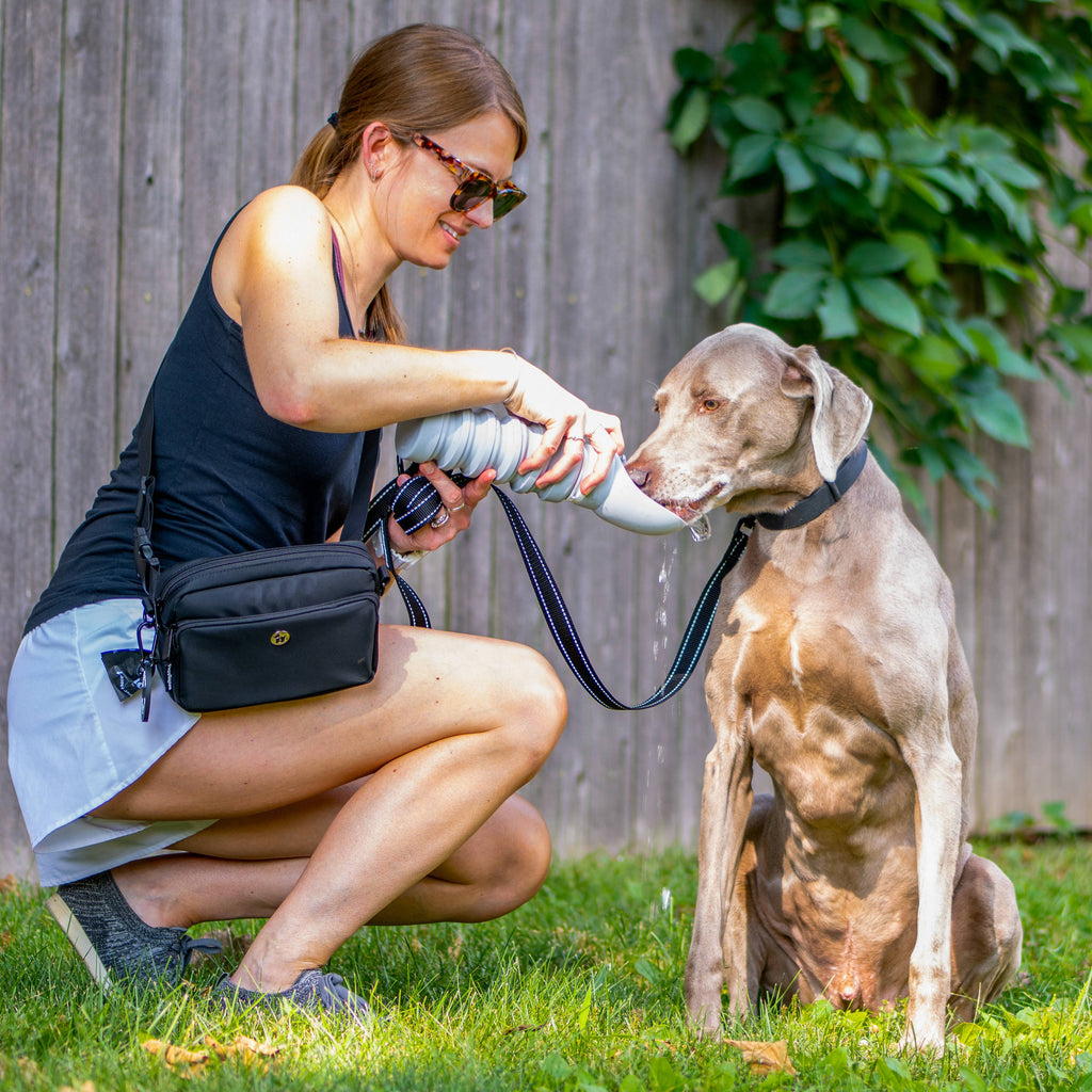 Puppington Collapsible Water Bottles for Dogs - Leakproof, Compact, BPA free