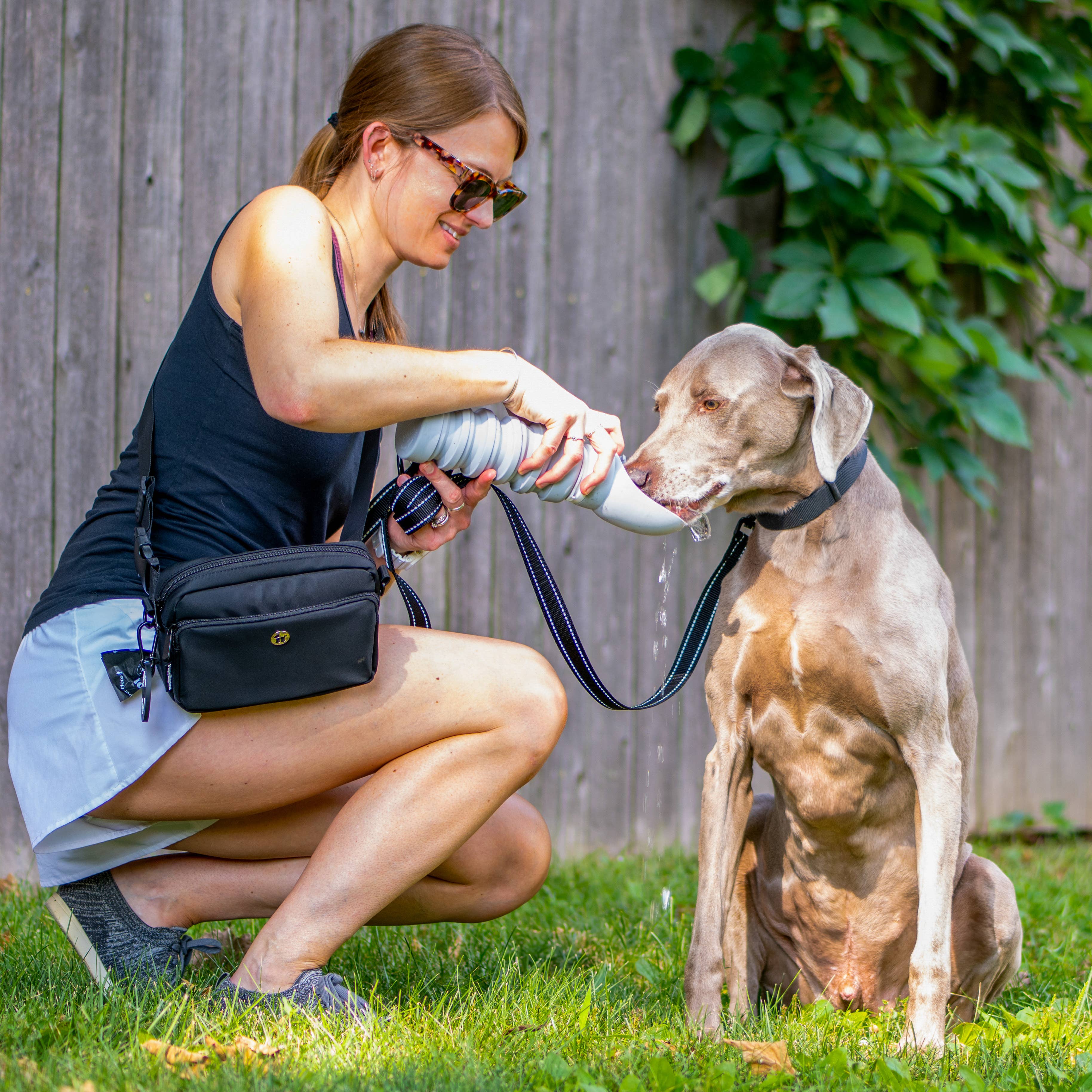 Puppington Collapsible Water Bottles for Dogs - Leakproof, Compact, BPA free