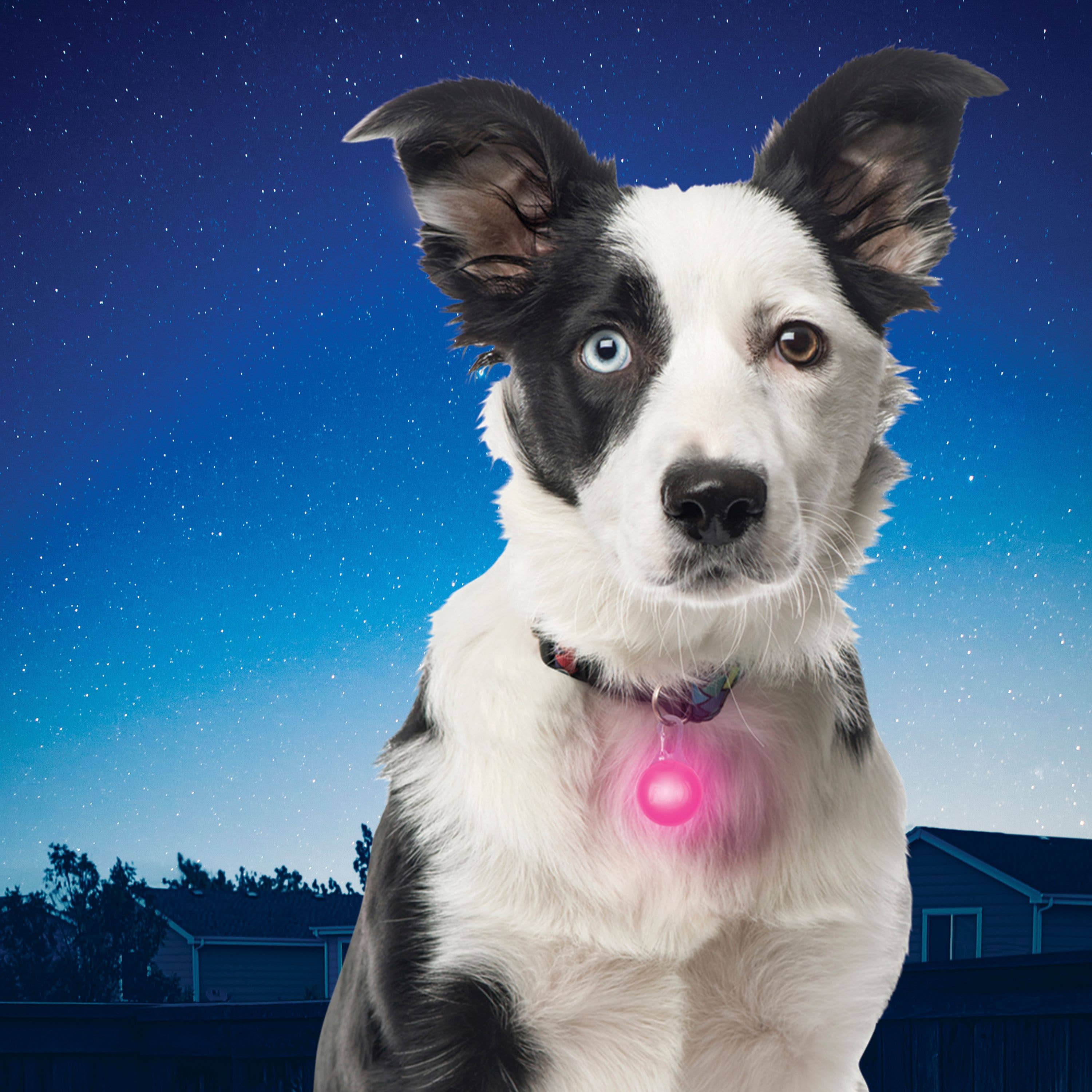 Nite Ize PetLit/SpotLit Collar Light