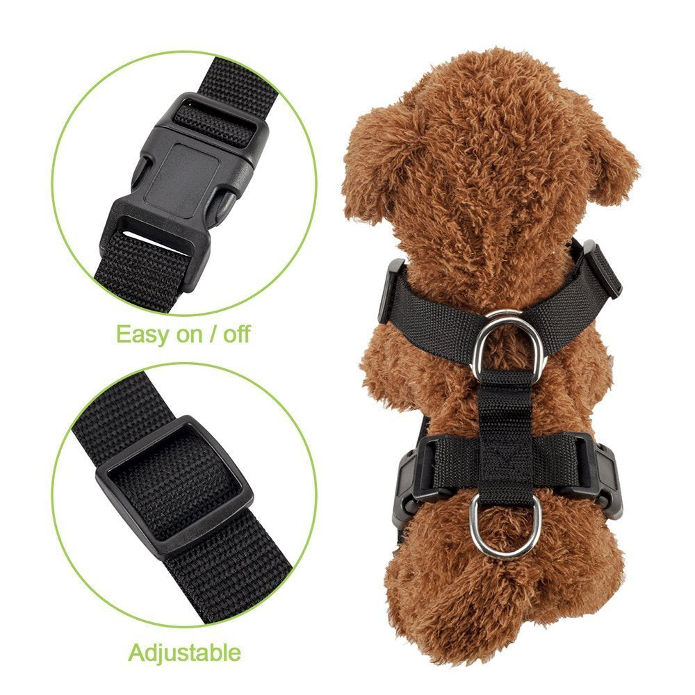 Dog Car Harness & Seat Belt - Red