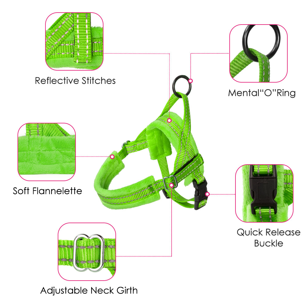 Small Dog Harness and Leash - Green