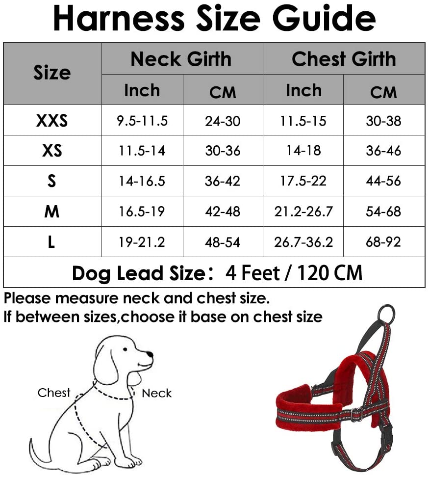 Small Dog Harness and Leash - Red