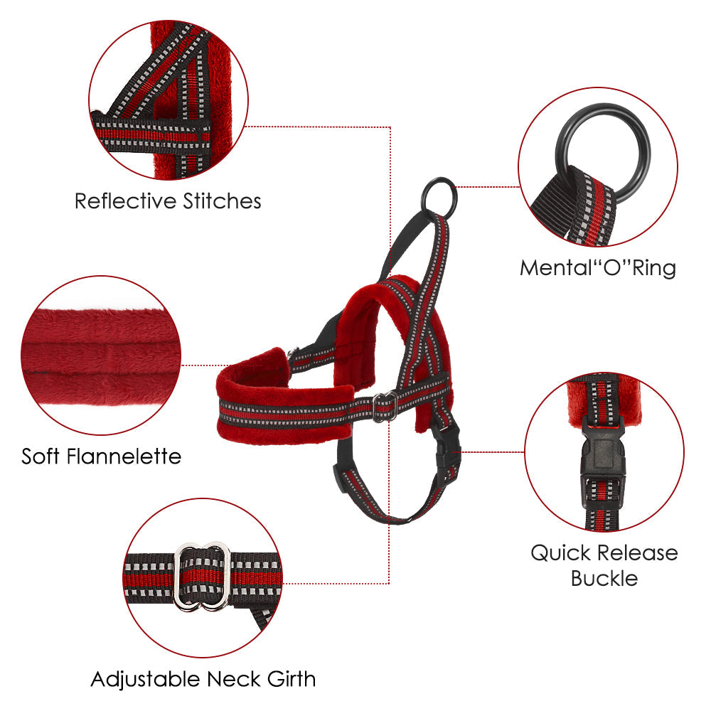 Small Dog Harness and Leash - Red