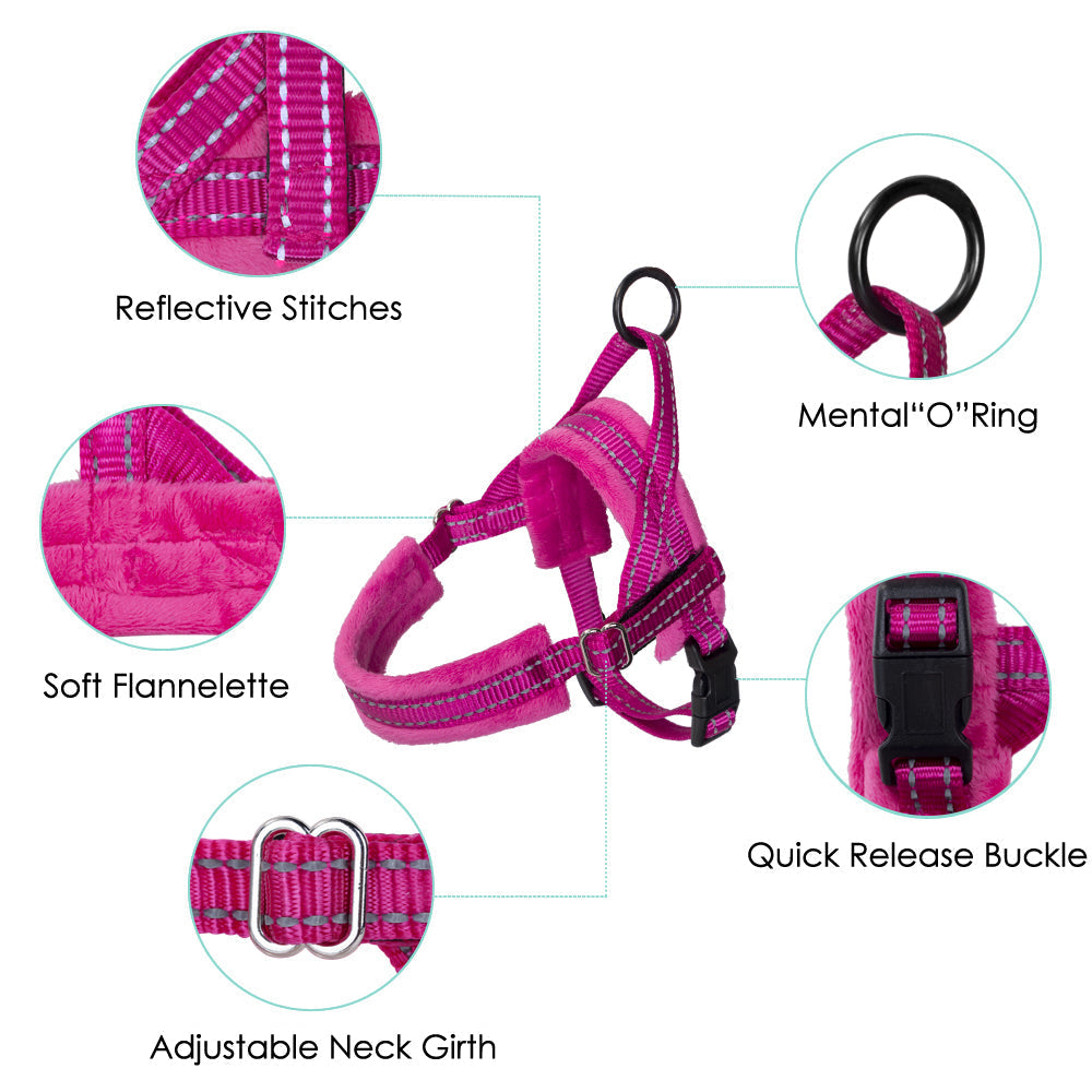Small Dog Harness and Leash - Fuchsia