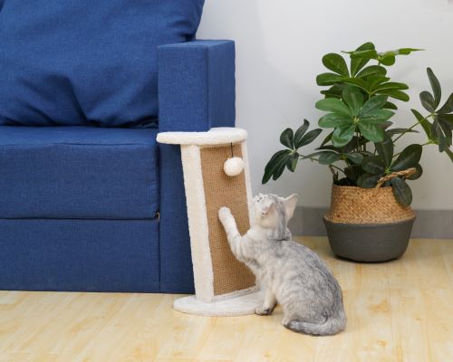 Catry Vanilla 2-Pack Cat Scratcher, Furniture Protection