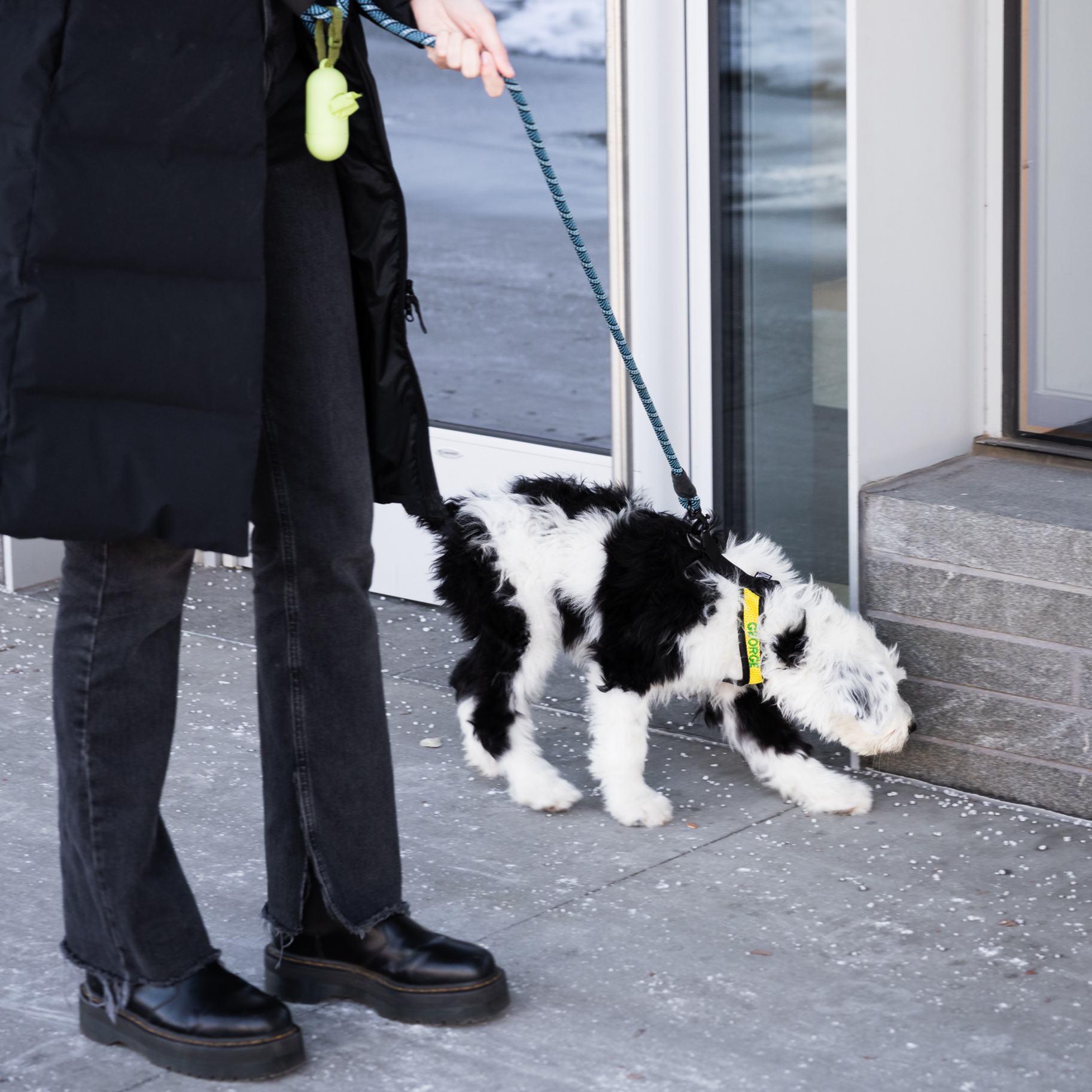 K9 Sport Harness