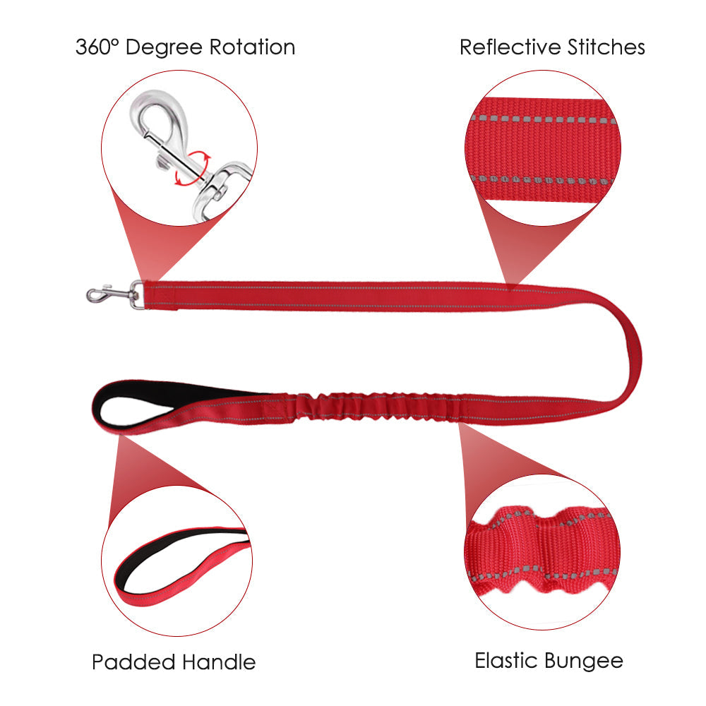 Small Dog Harness and Leash - Red