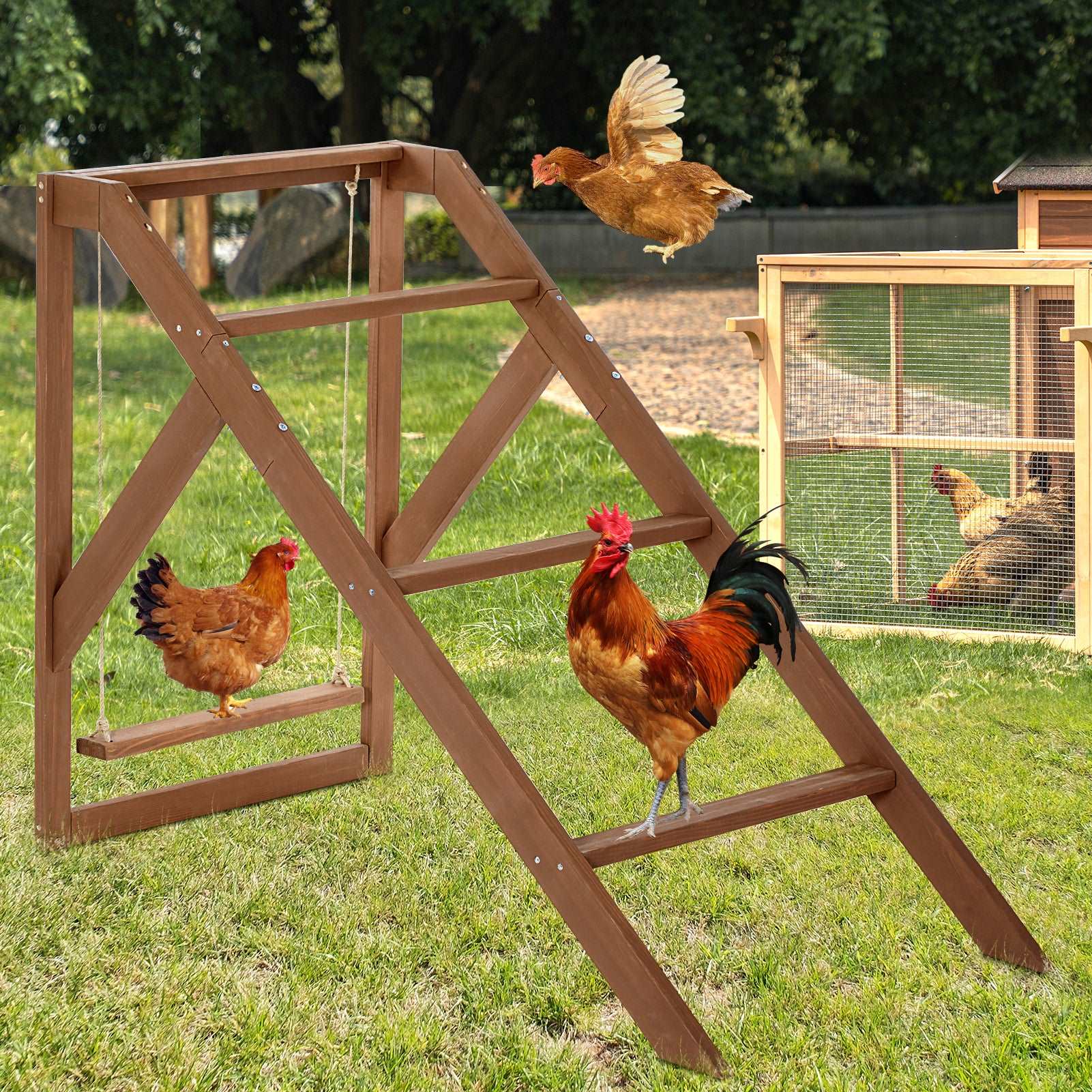 PETSFIT Chicken Swing Set for 4 Chicken Perches with Swing Fit for 8-10 Chicks