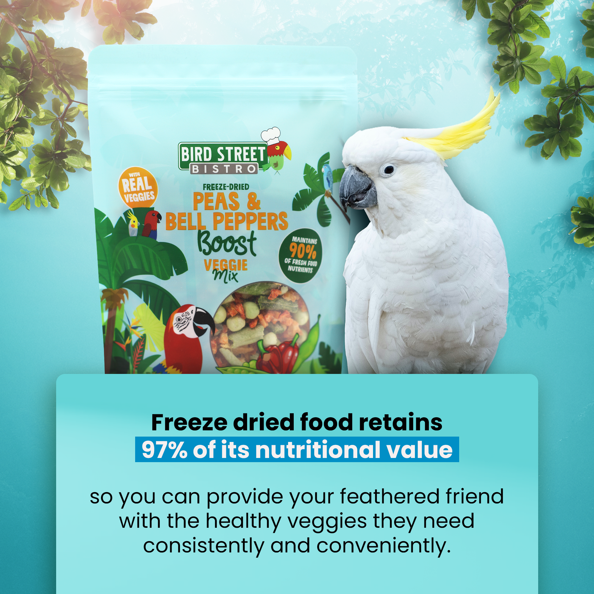 Peas & Bell Peppers Boost - Parrot Veggies Mix