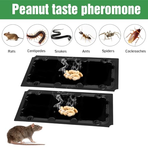 12 Pack Sticky Mouse Trap Rat Traps Indoor, Peanut Taste Pheromone Mouse Traps Indoor for Home, Glue Sticky Traps for Mice and Rats, Snake(Large Size)