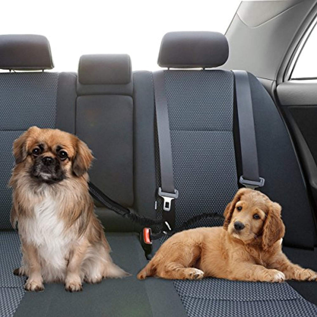 Double Dog Car Seatbelt - Black