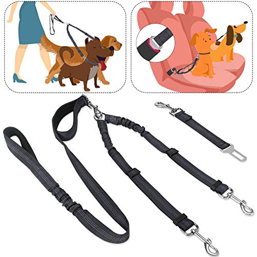 2 in 1 Double Dog Leash + Car Seat Belt - Black