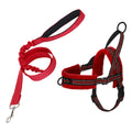No Pull Small Dog Harness and Leash - Red